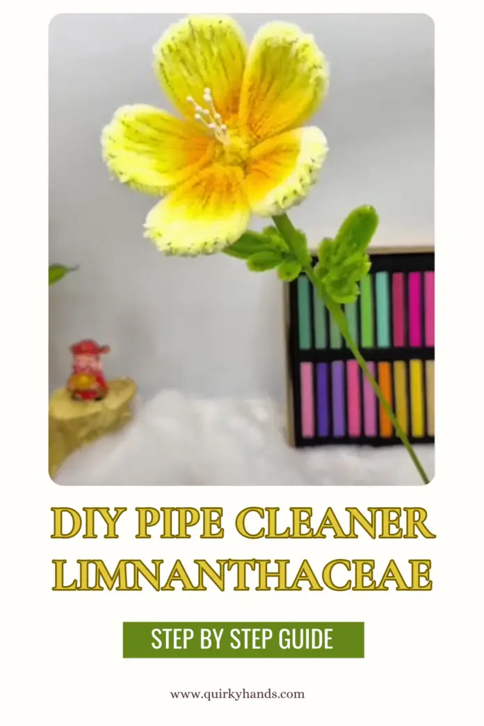 Handmade DIY Pipe Cleaner Limnanthaceae Flowers – Creative Craft for Gifts & Decor